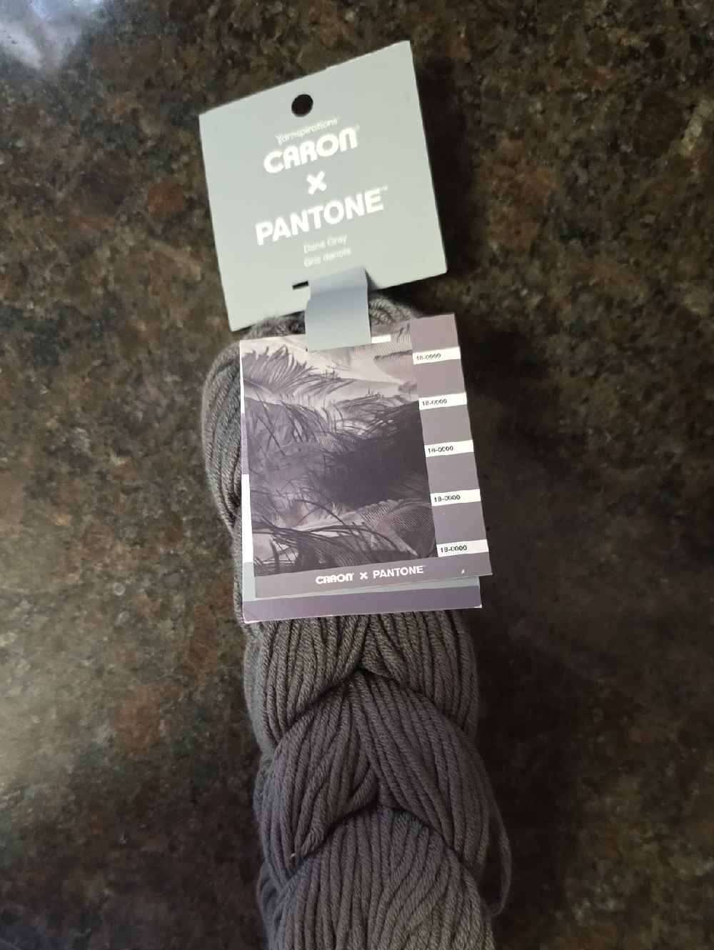 Caron x Pantone Deep Gray Hand-Dyed Yarn - Neutral Gray